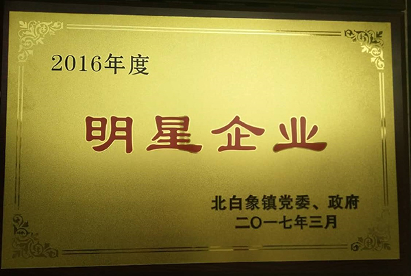 2016年度明星企業(yè).jpg